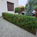 Damaroaia, Jiului, vila P+1E, noua, moderna, 4 camere,